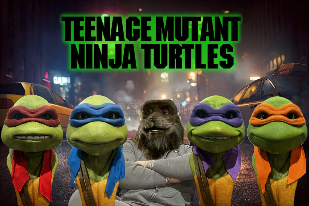 Tortue ninja 1/1